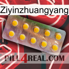 Ziyinzhuangyang new11
